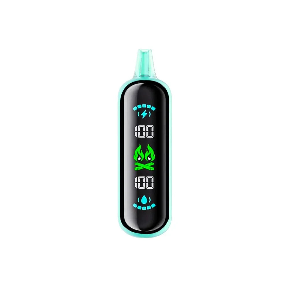 A mint green ELFBAR GH20000 Ice Mint disposable vape featuring a large black digital display screen showing battery and e-liquid levels at 100 percent with a green flame icon.