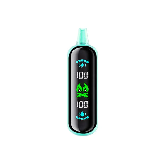 A mint green ELFBAR GH20000 Ice Mint disposable vape featuring a large black digital display screen showing battery and e-liquid levels at 100 percent with a green flame icon.